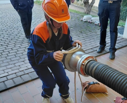 IMG-20260929-WA0012